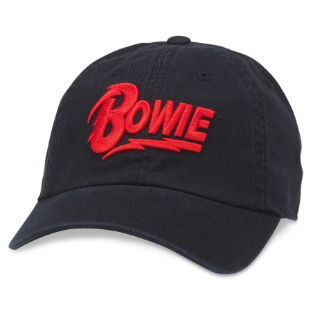 American Needle Ballpark - David Bowie