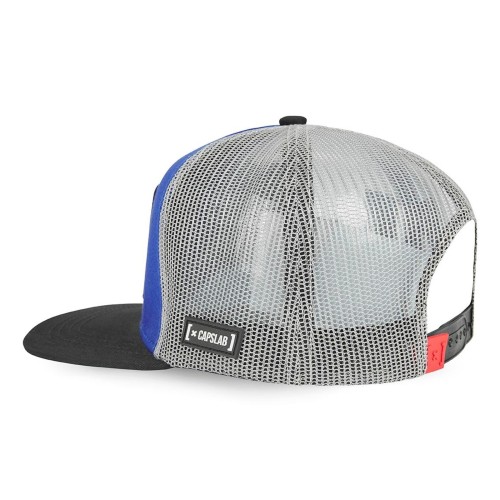 Capslab Nasa