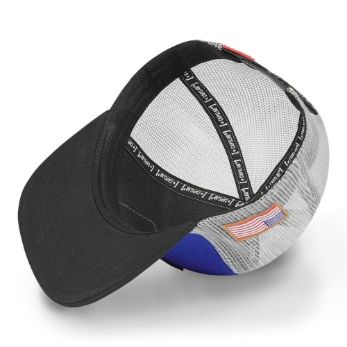 Capslab Nasa