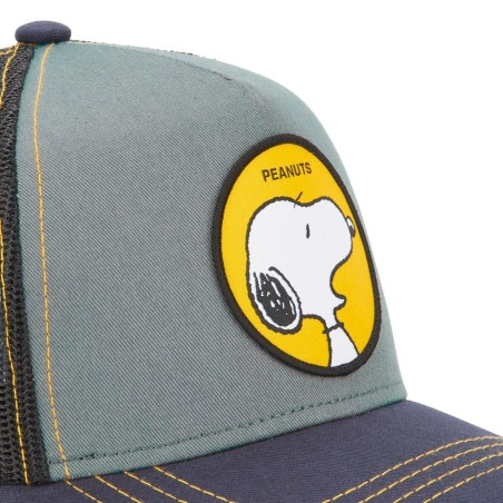 Capslab Peanuts