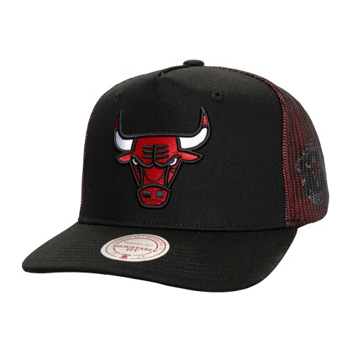 Mitchell & Ness NBA Chicago...