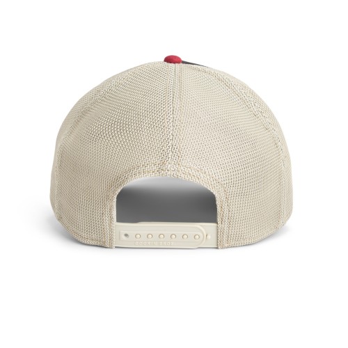 Goorin Bros. Tricolor Tortiouse