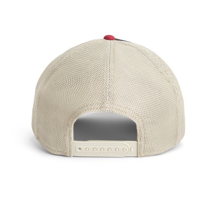 Goorin Bros. Tricolor Tortiouse