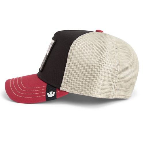 Goorin Bros. Tricolor Tortiouse