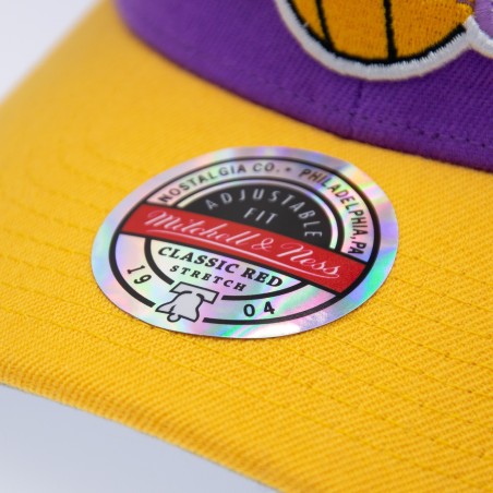 Mitchell & Ness NBA Los Angeles Lakers Team Arch Snapback