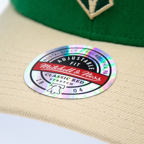 Mitchell & Ness NBA Milwaukee Bucks Team Arch Snapback