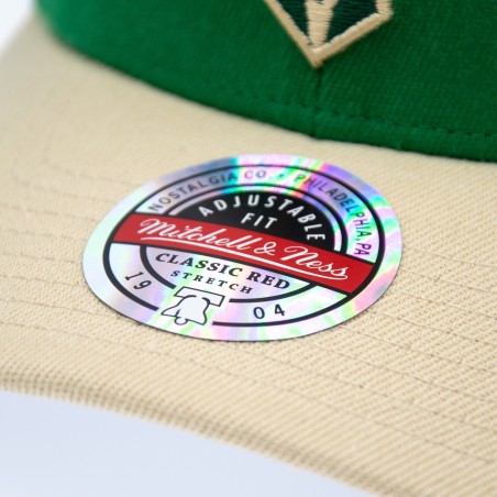 Mitchell & Ness NBA Milwaukee Bucks Team Arch Snapback