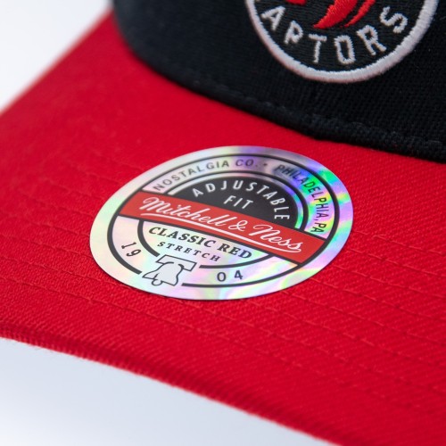 Mitchell & Ness NBA Toronto Raptors Team Arch Snapback