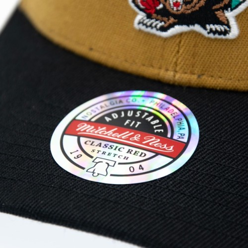 Mitchell & Ness NBA Vancouver Grizzlies Team Arch Snapback