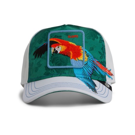 Goorin Bros. Honduras Macaw