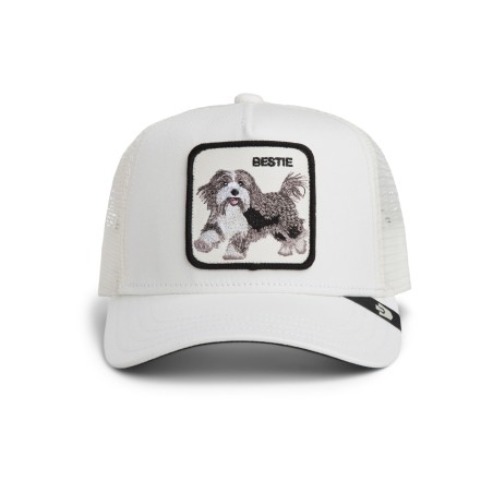 Goorin Bros. Bestie Trucker Mini