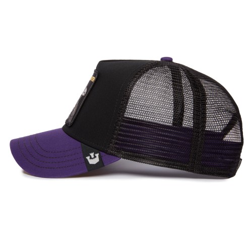 Goorin Bros. Raven Fan Trucker