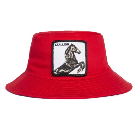 Goorin Bros. I'm a Little Hoarse
